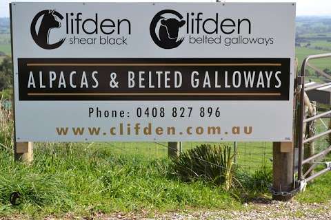 Photo: CLIFDEN ALPACAS & CLIFDEN BELTED GALLOWAYS